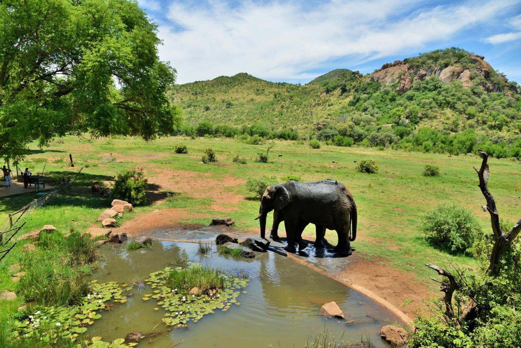 Kwa Maritane Lodge Ledig Luaran gambar