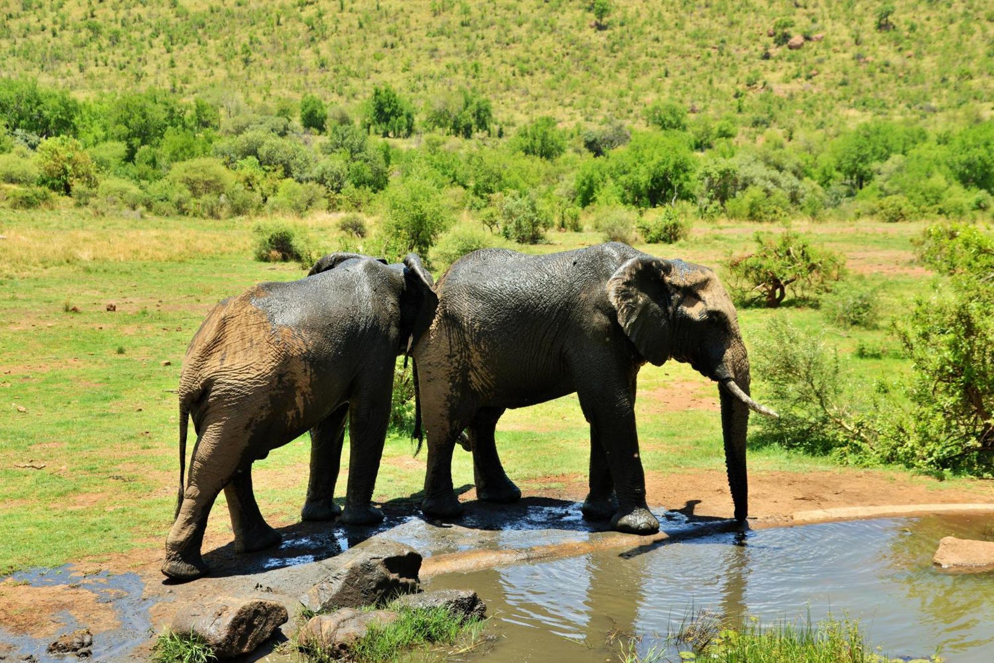 Kwa Maritane Lodge Ledig Luaran gambar