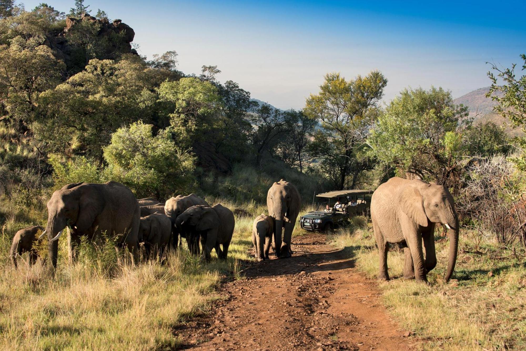 Kwa Maritane Lodge Ledig Luaran gambar